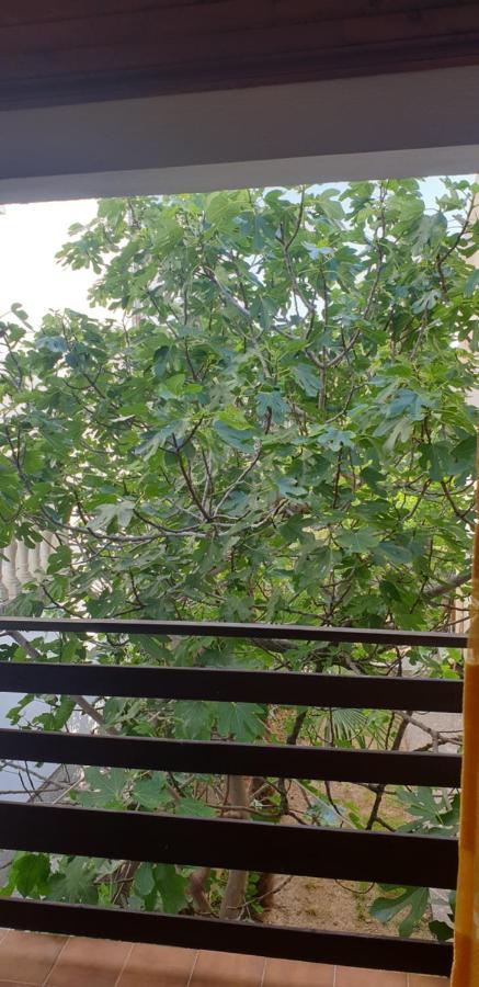 Apartment Tonci 라브 외부 사진